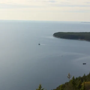A scenic view of the Straits of Mackinac highlighting environmental conservation efforts.
