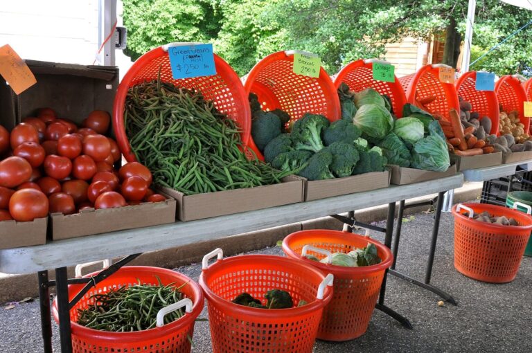 Northville Farmers Market Sets Final Day of Season for Oct. 29